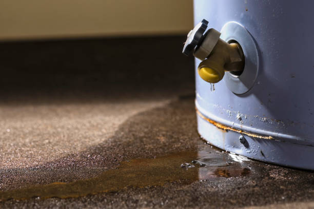 Water damage restoration insurance claims in Athens, AL