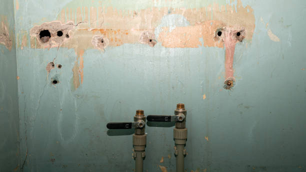 Best Sewage cleanup and water damage restoration  in Athens, AL