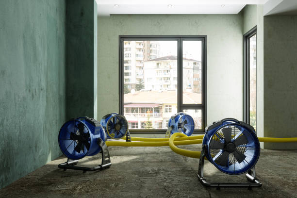 Best Residential water damage restoration  in Athens, AL