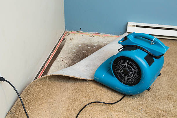Local water damage restoration in Athens, AL